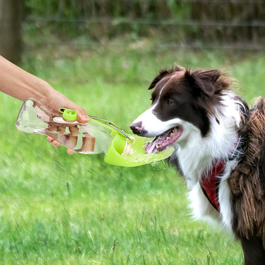 Portable Pet Water Dispenser