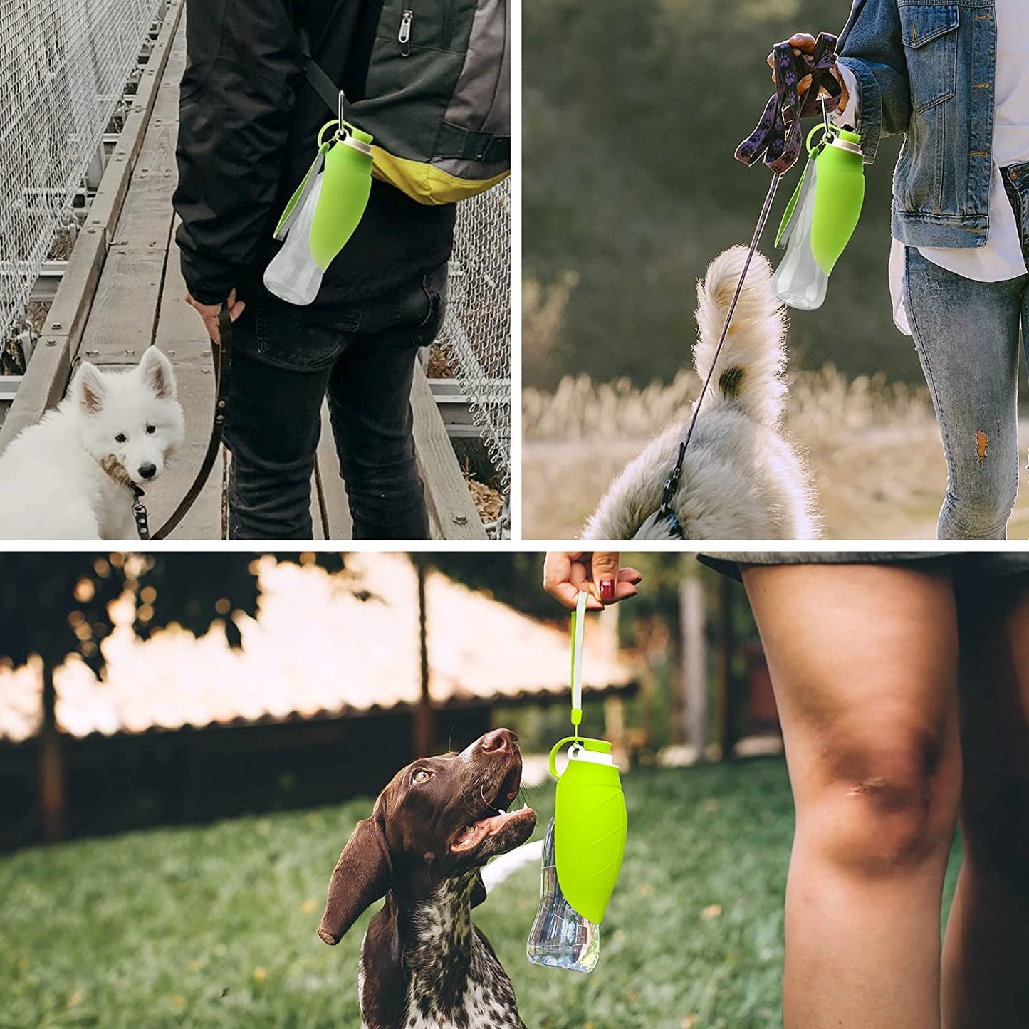 Portable Pet Water Dispenser