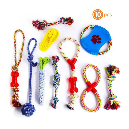 Assorted Chew Toys 10 pc.